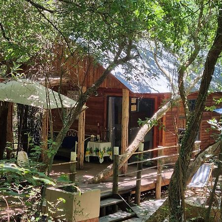 Iris Retreat & Island Day Spa Hartbeespoort Bagian luar foto